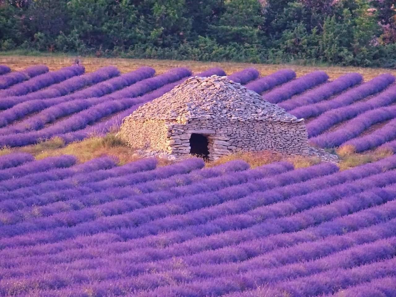 Entre Ventoux Et Luberon Chambre D'Hote Sault Exterior foto
